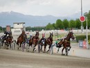 Tutto pronto a Vinovo per il via della stagione 2025 del trotto Tutto pronto a Vinovo per il via della stagione 2025 del trotto