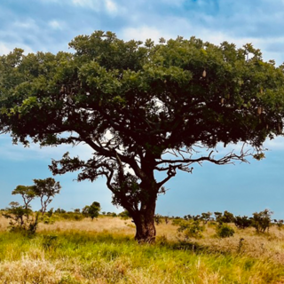 Viaggio nel cassetto: e se i viaggi che non partono fossero proprio quelli più affascinanti?