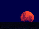 Eclissi totale in Italia, stasera attesa la 'luna rossa' Eclissi totale in Italia, stasera attesa la 'luna rossa'