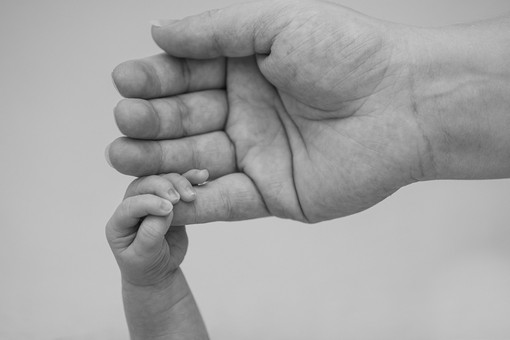 Sette alloggi per donne sole o con minori nella sede di ‘Housing First – Stella Binaria’ a Pinerolo