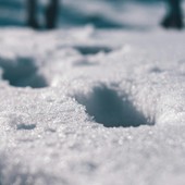 Rischio valanghe: chiusa agli escursionisti la strada che sale al Pra e buona parte delle piste di alta quota
