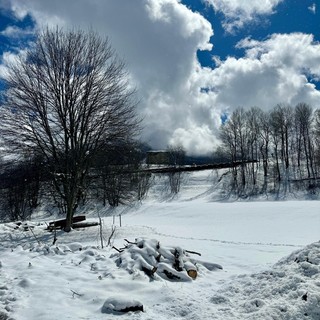 paesaggio con la neve