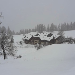paesaggio con la neve