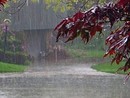 pioggia - foto d'archivio