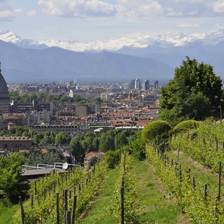 Qual è il quartiere migliore per vivere a Torino?