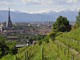 Qual è il quartiere migliore per vivere a Torino?