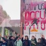 Torino, gli studenti del Campus occupato: "Soldi all'università, non alla guerra" Torino, gli studenti del Campus occupato: "Soldi all'università, non alla guerra"