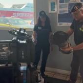 Francese arrestato a Bari, ecco i missili da guerra che trasportava nel furgone