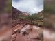 Inondazione improvvisa al Grand Canyon, le immagini dell'onda di fango Inondazione improvvisa al Grand Canyon, le immagini dell'onda di fango