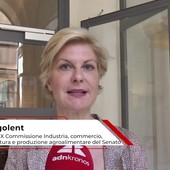 Economia: Fregolent (IV), 'migliorare burocrazia, energia, giustizia e trasporti per attrarre investimenti'