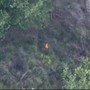 Vibo Valentia, appicca il fuoco in un bosco ma viene ripreso da un drone