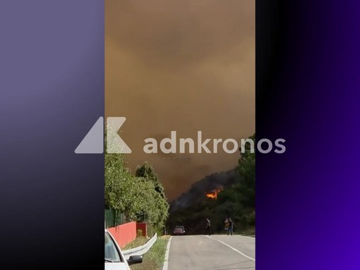 Incendi in Sardegna, notte di fuoco ad Arzana: dall'alba in volo due Canadair Incendi in Sardegna, notte di fuoco ad Arzana: dall'alba in volo due Canadair