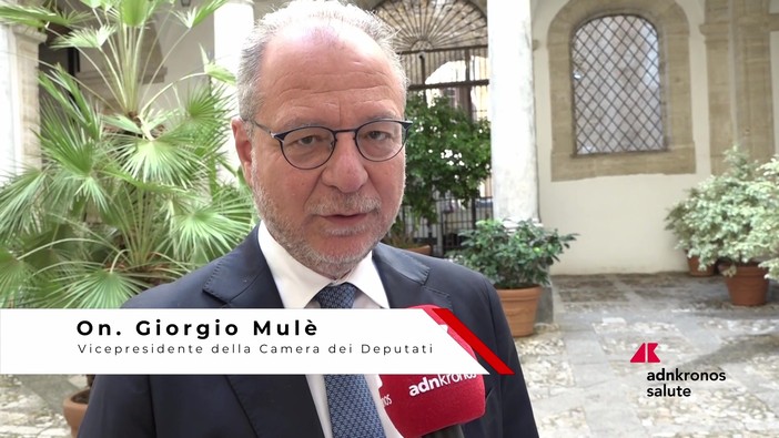 Mulè, "Vulnerabili modello virtuoso di collaborazione per sostenere le persone più fragili" Mulè, "Vulnerabili modello virtuoso di collaborazione per sostenere le persone più fragili"