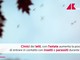 Cimici dei letti, in estate aumenta possibilità contatto Cimici dei letti, in estate aumenta possibilità contatto