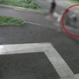Milano, scaraventano disabile per terra e rapinano lui e la moglie