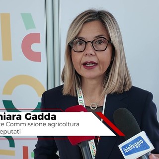 Ristorazione collettiva, Gadda: "Serve una cabina di regia nazionale"