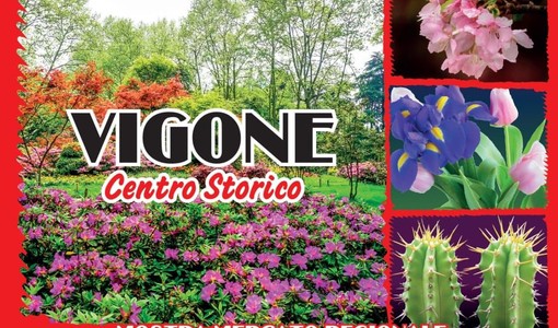 Fiori, arte e partecipazione: Vigoflor accende Vigone Fiori, arte e partecipazione: Vigoflor accende Vigone