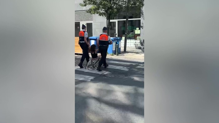 Bruxelles, il video dell'europarlamentare Scuderi trascinata dalla polizia: "Ero vicino sit-in neonazista"