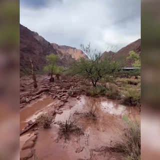 Inondazione improvvisa al Grand Canyon, le immagini dell'onda di fango