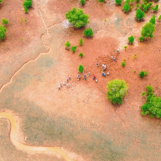 Ambiente: Neya del Gruppo Mundys pianta 2.500 ettari di mangrovie in Madagascar