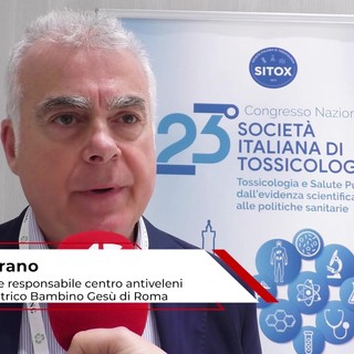Estate: tossicologo Marano, 'morso di vipera raro, ma pericoloso per i bambini'