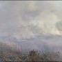 Incendio a Brindisi, a fuoco vasta area sterpaglie e canneto in zona industriale Incendio a Brindisi, a fuoco vasta area sterpaglie e canneto in zona industriale