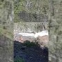 Alluvione in Nepal, operai di una diga rischiano di essere travolti dalla furia dell'acqua