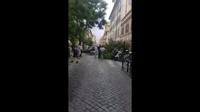 Forte vento a Roma, albero precipita su un taxi in via Ostiense