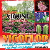 Fiori, arte e partecipazione: Vigoflor accende Vigone