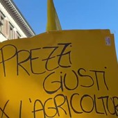Caro carburanti, agricoltori in piazza a Firenze: "Non ci muoveremo da qui" Caro carburanti, agricoltori in piazza a Firenze: "Non ci muoveremo da qui"