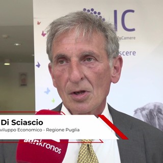 Di Sciascio (Ass. Regione Puglia): "I dati sono cruciali per decisioni consapevoli, fondamentale il contributo di InfoCamere " Di Sciascio (Ass. Regione Puglia): "I dati sono cruciali per decisioni consapevoli, fondamentale il contributo di InfoCamere "