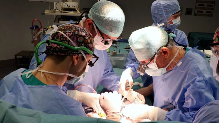 Chirurgia vascolare, il San Raffaele di Milano pioniere della mininvasività Chirurgia vascolare, il San Raffaele di Milano pioniere della mininvasività