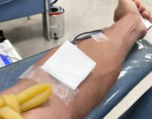 Emergenza sangue in Italia, ecco perché manca soprattutto gruppo 0 positivo Emergenza sangue in Italia, ecco perché manca soprattutto gruppo 0 positivo
