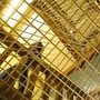 Rivolta nel carcere di Enna, oltre 100 detenuti occupano parte del vecchio padiglione