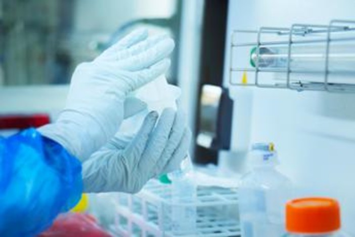 Donna muore di peste polmonare in Siberia, lavorava in laboratorio: in 200 in quarantena