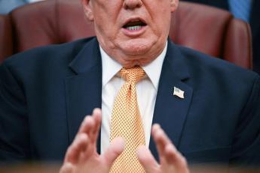 Trump: "L'erba è come gli esseri umani, ha una vita"