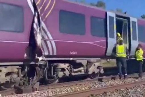 Scontro tra due treni a nord di Londra, soccorsi in azione: "Morto il macchinista, undici feriti gravi" Scontro tra due treni a nord di Londra, soccorsi in azione: "Morto il macchinista, undici feriti gravi"