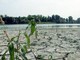 Agosto mese più caldo mai registrato, estate più rovente di sempre per l'Europa occidentale Agosto mese più caldo mai registrato, estate più rovente di sempre per l'Europa occidentale