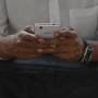 Foglia di alloro nella cover del telefono, il significato del trend: porta davvero fortuna? Foglia di alloro nella cover del telefono, il significato del trend: porta davvero fortuna?