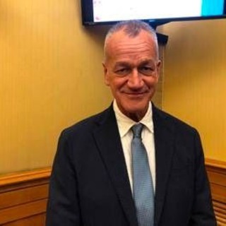 Malattie rare, Girelli (Pd): "Ascoltare clinici e pazienti Egpa per fare norme realistiche"