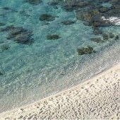 Niente ombrellone se hai tra 10 e 65 anni, il mondo guarda la Sardegna. E la regola divide turisti e ambientalisti Niente ombrellone se hai tra 10 e 65 anni, il mondo guarda la Sardegna. E la regola divide turisti e ambientalisti