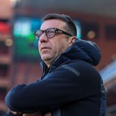 Il Torino cambia allenatore, ecco D’Aversa al posto di Baroni Il Torino cambia allenatore, ecco D’Aversa al posto di Baroni