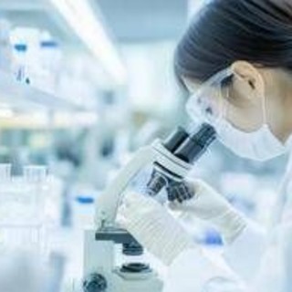 Resistenza a farmaci in cancro rene e fegato, studio apre nuove vie Resistenza a farmaci in cancro rene e fegato, studio apre nuove vie