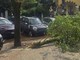 Maltempo a Roma, ramo cade fuori liceo a Coppedè: feriti 3 studenti Maltempo a Roma, ramo cade fuori liceo a Coppedè: feriti 3 studenti