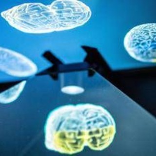 Tagliare le calorie può rallentare l'invecchiamento del cervello: ecco cosa dice lo studio Tagliare le calorie può rallentare l'invecchiamento del cervello: ecco cosa dice lo studio