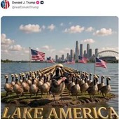 Trump posta esercito di 'Donald Ducks', le papere armate a difesa del Lago America