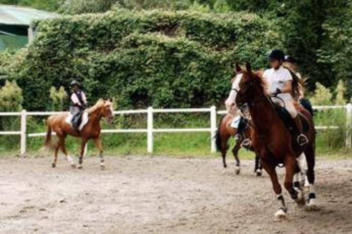 Milano, abusi su allieve minorenni: arrestato istruttore di equitazione