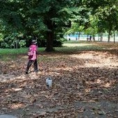Meteo, torna il sole con l'Anticiclone delle Azzorre ma dura poco: domenica peggiora, le previsioni Meteo, torna il sole con l'Anticiclone delle Azzorre ma dura poco: domenica peggiora, le previsioni