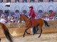 Palio Siena, la Contrada della Torre vince la quarta prova Palio Siena, la Contrada della Torre vince la quarta prova