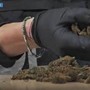 Maxi operazione della polizia: 1.335 arresti, sequestrati 450 kg di droga